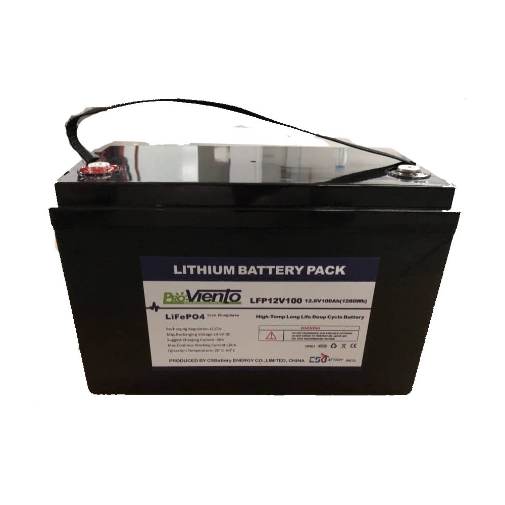 Bateria de LiFePO4 con BMS 100Ah/12V
