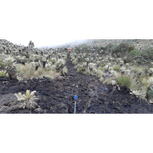 2019: Una hidroeléctrica de 3kW para el Parque Nacional "El Angel"